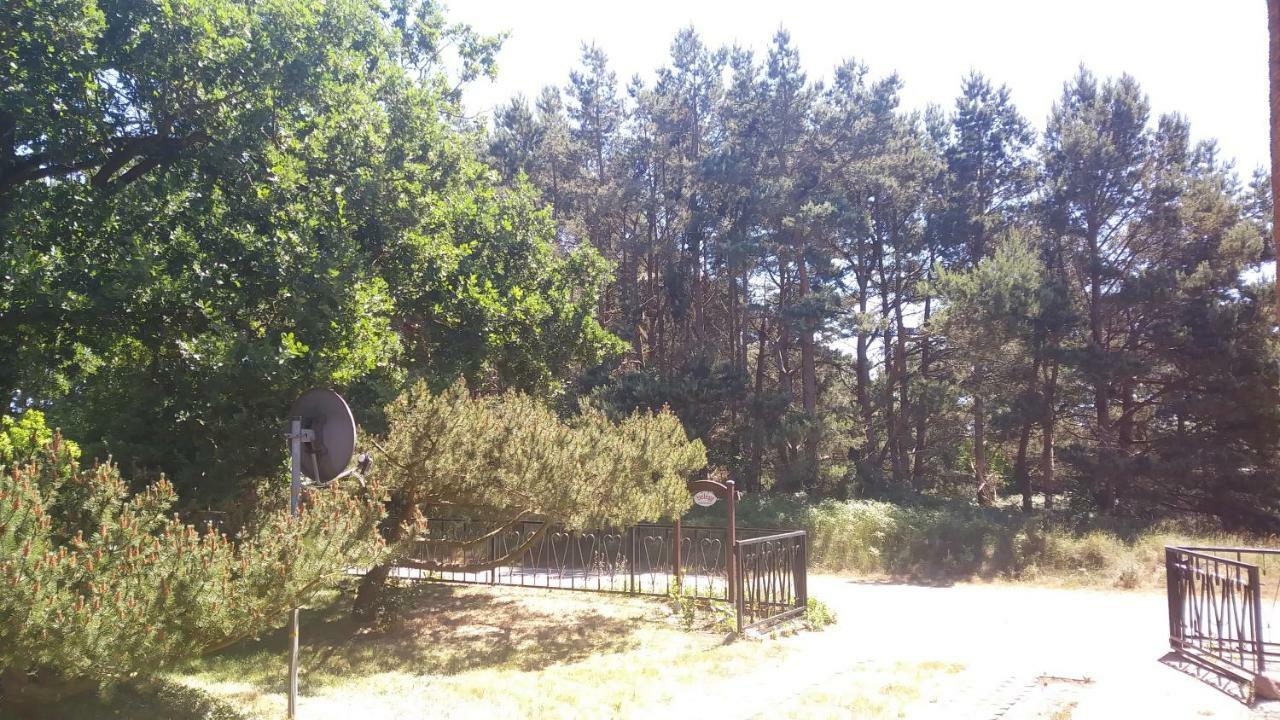 Urlaub Bei Hauenstein Apartment Born Exterior photo